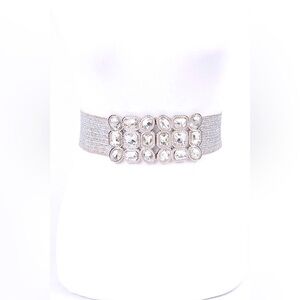 Gold or Silver Metallic Rhinestone Straw Statement Belt